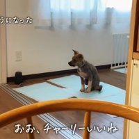 なかなか心を開かない