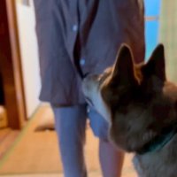 まだ遊べないかな？