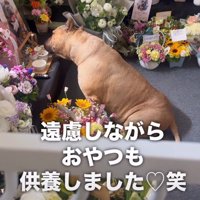 遠慮しながらパクリ