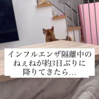 らむねちゃんとお姉ちゃんの再会3