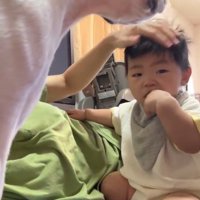 赤ちゃんが泣いた時のごろちゃん7