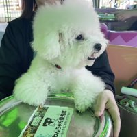 コーヒーカップにソワソワ