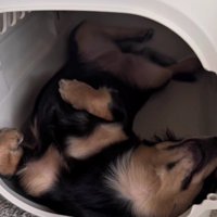 今ではギチギチに！！