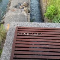 川の様子