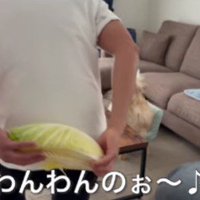 わんわんちゃんへのサプライズ！
