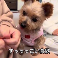 ご飯もたくさん食べるように