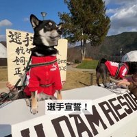 キリッとした表情で選手宣誓