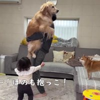 ほのちゃんもやってきた