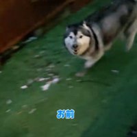 泥遊び楽しかったね！！