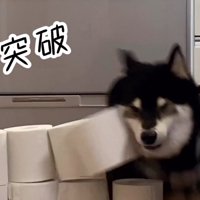 大河くんのトイレットペーパーチャレンジ3