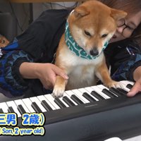 四竜くんは不思議そう
