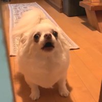 「一人で入るな！」