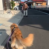 走り出すりく君