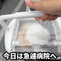 病院へやってきたココちゃん