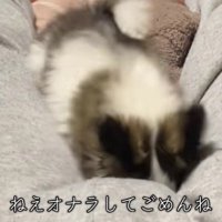 おならをしてしまったら…