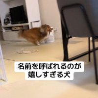名前を呼ばれた時のリックくん⑩