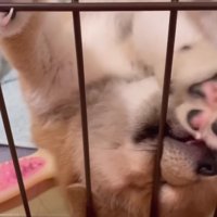 外の世界は気になるけど…