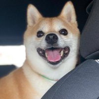 「お母さん、いた！！」
