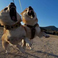迫力満点！