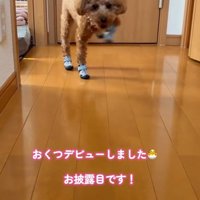 足が高く上がりすぎ！