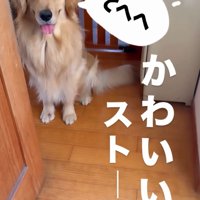 座る福ちゃん