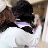 甘えん坊な子どものよう