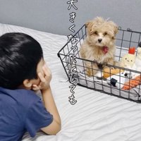 カゴにちょこんっ