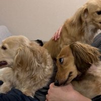 嫉妬心むき出し！