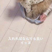 スルッとイン！