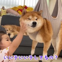 うにくんを励ますほのちゃん