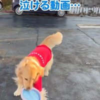 楽しそうに遊んでいる蒼空ちゃん