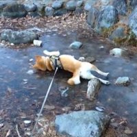 気持ちよさそう