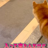 そわそわ落ち着かない