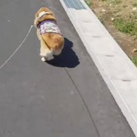 駆け寄った先にいたのは…