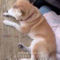 最初は寂しさと不安でいっぱい…