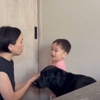 怒られた男の子に…