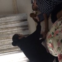 ムギちゃんを置くママ