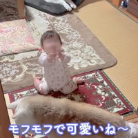 子守り上手なあいちゃん