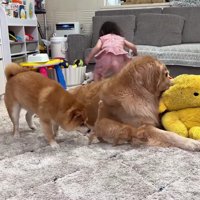 「一緒に遊ぼう！」