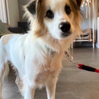 ダニエルくんとの数ヶ月間2