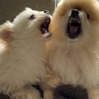 家族愛にあふれてる