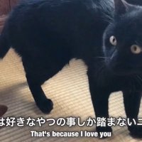 「踏むのは僕なりの愛情表現にゃ♡」