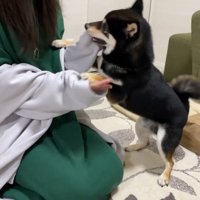 甘噛みしながら熱烈大歓迎！