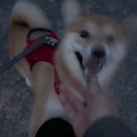 大喜びのこむぎちゃん♪
