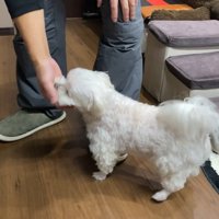 ナナくんとパパさんの再会8