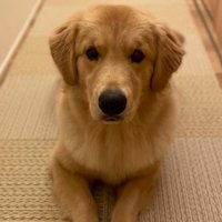 かーる君の成長記録5