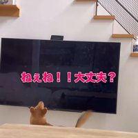 らむねちゃんとお姉ちゃんの再会5