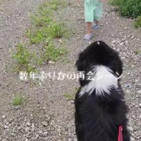 レオンちゃんのお散歩中