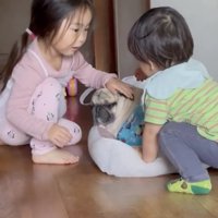 そっとお耳を戻します