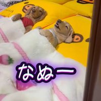 改めて鏡をチェック